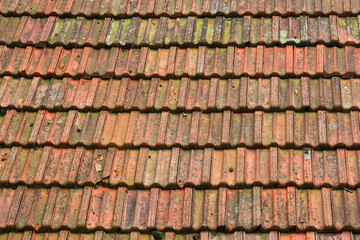 roof tiles