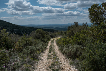 Fototapeta premium Following the hiking path in South of France to enjoy the nature