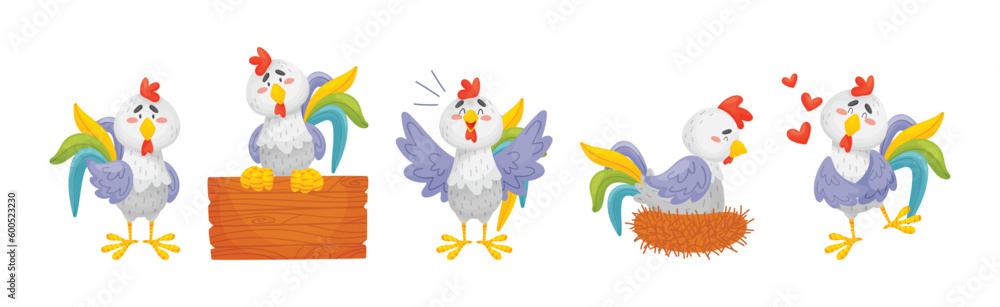 Poster rooster funny character with bright feathers engaged in different activity vector set