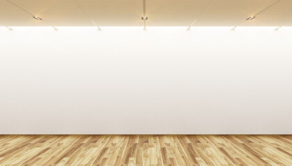 empty minimalism style gallery