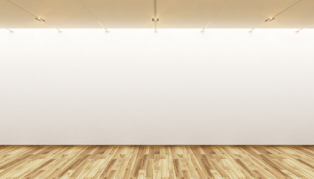 empty minimalism style gallery