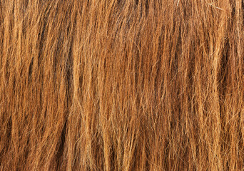 brown hair texture