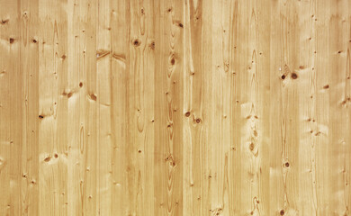 texture of pine wood panel