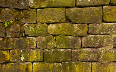 texture of stone wall covered with a moss