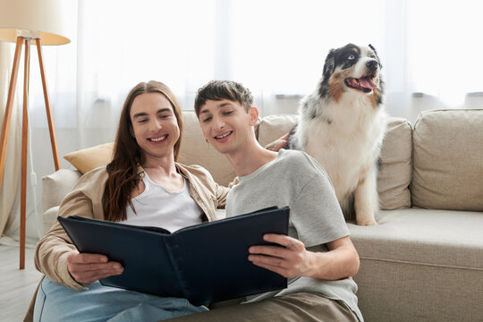positive lgbt couple looking at photo album and smiling while having happy memories and sitting near Australian shepherd dog and couch in modern living room at home