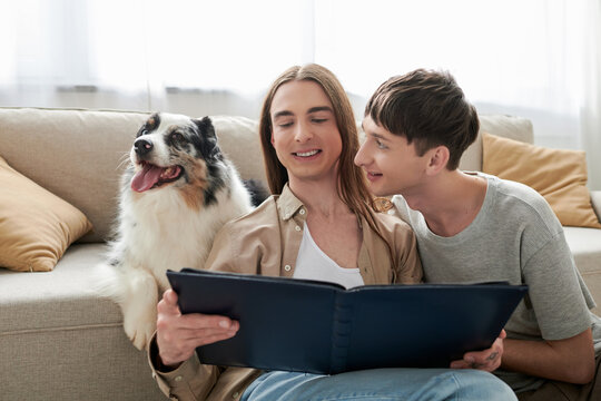 cheerful lgbt couple holding photo album in hands and smiling together while sitting near Australian shepherd dog next to couch in modern living room at home