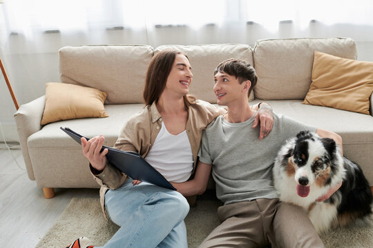 Carefree homosexual couple in casual clothes talking while spending time with Australian shepherd dog and holding photo album in modern living room at home