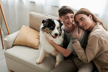 Tattooed and long haired gay man in casual clothes hugging carefree boyfriend petting friendly Australian shepherd dog while sitting on modern couch in living room at home