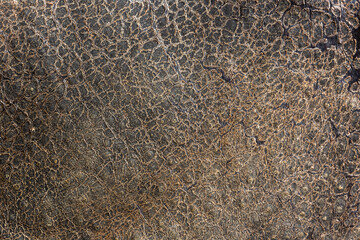 rhinoceros leather texture