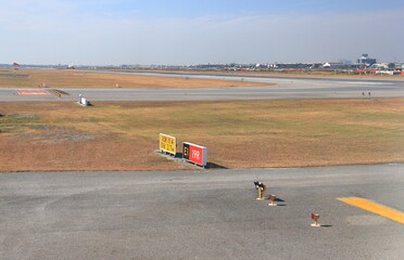 sign markings on taxiway for direction at airport