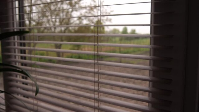 View Of Window With Blinds Indoors