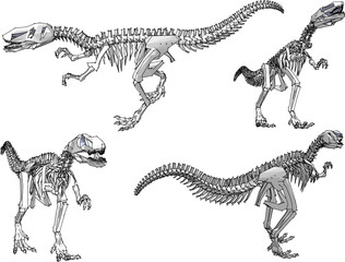 Vector illustration of ancient dinosaur skeleton cartoon illustration