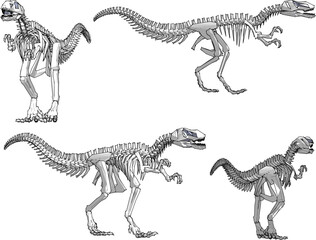 Vector illustration of ancient dinosaur skeleton cartoon illustration