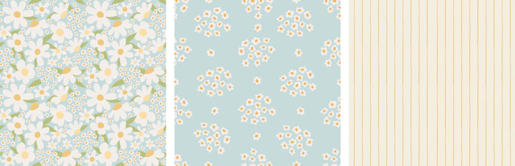 set of delicate floral patterns. chamomile, wildflowers, stripes in pastel colors. seamless pattern for fabric and interior poster