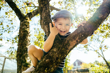 Sunny day. Active boy playing in the garden. cute kid boy sitting on the branch of aplle tree....
