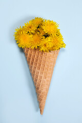 Bouquet of dandelion flowers in an ice cream cone on a blue background. Vertical Orientation