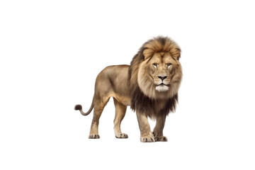 Plakat Lion Isolated on Transparent Background. AI