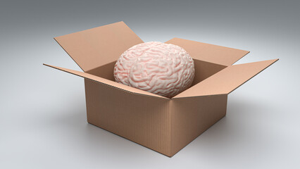 Thinking outside the box - concept shot. A human brain in an open box. Creativity, innovation, inspiration concepts. - obrazy, fototapety, plakaty