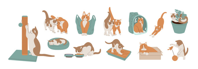 A set of cute domestic cats in different situations. Flat design style. Vector illustration.