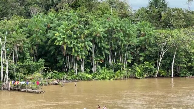 Fahrt auf dem Amazonas