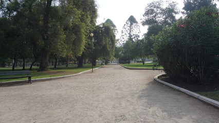 road in the park