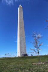 Washington Monument, Cherry Blossom Festival