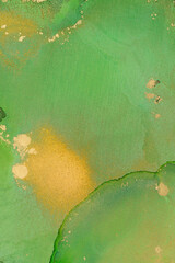 Luxury abstract fluid art painting background alcohol ink and gold technique Abstract Blend of Alcohol Ink and Gold