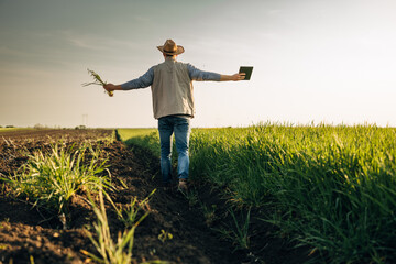 A man walks freely trough his farmland with his arms wide open.