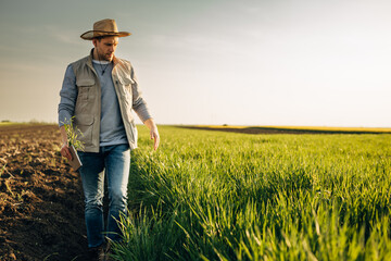 A front view of a farmers walking next to a grain field.