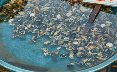 Fresh mussels on fish farmer market ready for sale and use for ingredient. Market in Italy