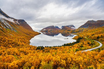 The view over the Nordfjorden in autumn with all the trees in autumn colors is spectacular from the Bergsbotn utsiktsplattform, or viewing platform, in Troms og Finnmark, Norway