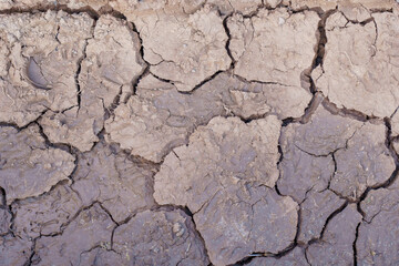 The soil cracked due to dryness. Creative cracks in the ground. Illustration of the apocalypse.