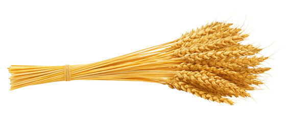 Wheat isolated on white background, full depth of field © grey