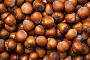 Hazelnuts background. Pile of hazelnuts top view. Food background.