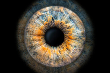 spectacular close-up (macro photo) of the iris of a two-colored eye, ideal for background or texture