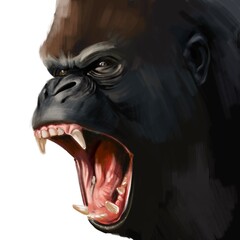 angry gorilla with open mouth. aggressive animal, ape head sketch. isolated colourful illustration, design for logo, print or tattoo © Anastasiia