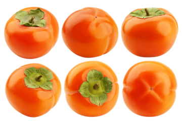 persimmon isolated on white background, full depth of field
