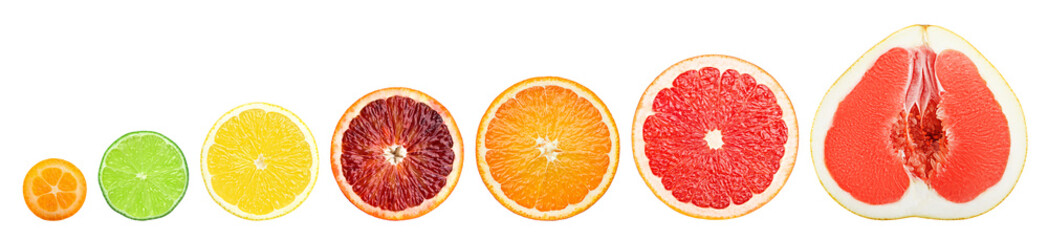 citrus slice isolated on white background, pomelo, grapefruit, orange, lemon, lime, kumquat