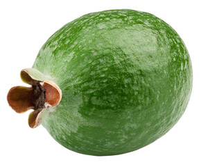 Feijoa isolated on white background, full depth of field