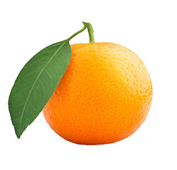 mandarin, tangerine, isolated on white background, full depth of field