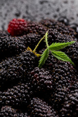 Raw blackberies