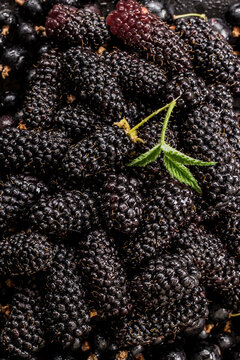 Raw blackberries with black currant