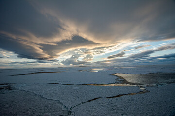 Antártica