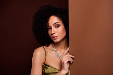 Photo of classy lovely pretty lady advertising beauty studio jewel shop for perfect events on brown...