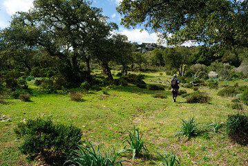 Il bosco di Santa Degna