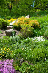 Flowers in the flower bed. Flowers and stones in the botanical garden. Natural background