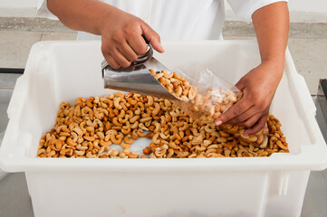 processo de fabricação da castanha de caju - pesagem e embalagem de castanha de caju processada
