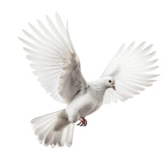white dove / pigeon in flight with its wings spread isolated over a transparent background, cut-out peace and freedom symbol, generative AI - 600573836