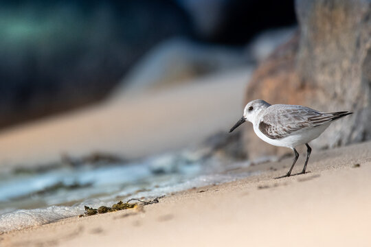 Pente Billeder Gennemse 8,950 stockfotos, vektorer og videoer Adobe