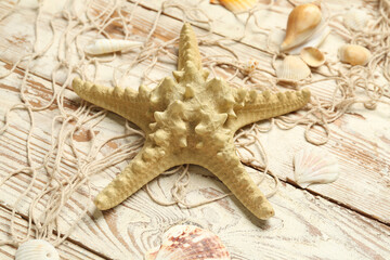 Fototapeta na wymiar Beautiful starfish with seashells and net on light wooden background